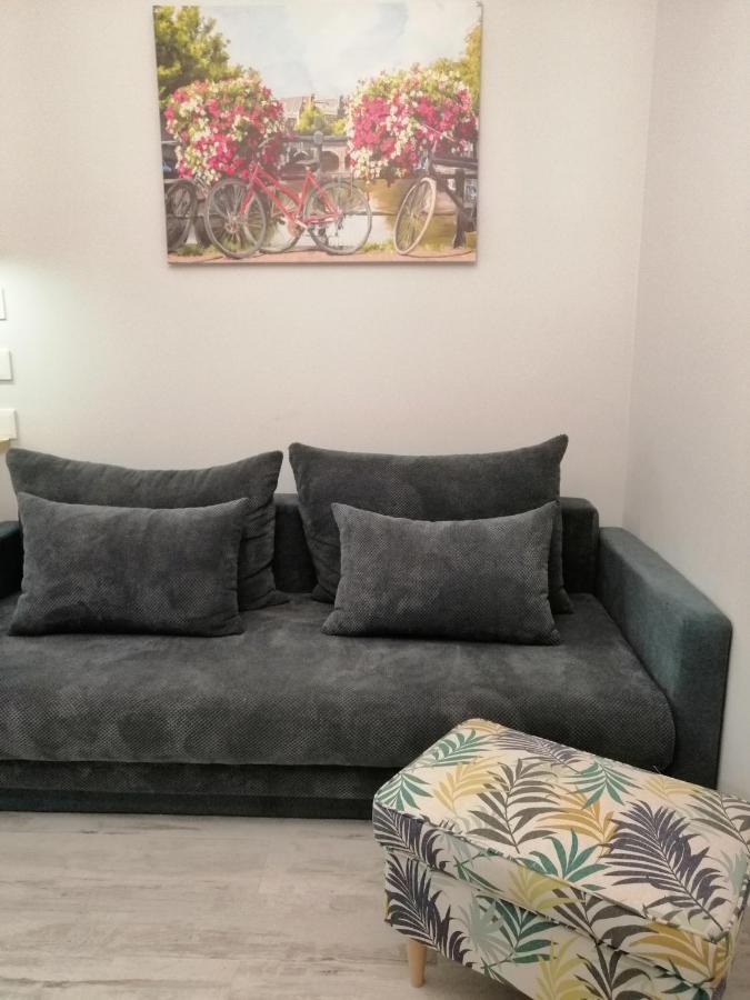 Apartamenty Homole C2 什恰夫尼察 外观 照片